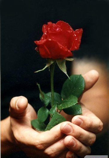 Кришталеві Грона