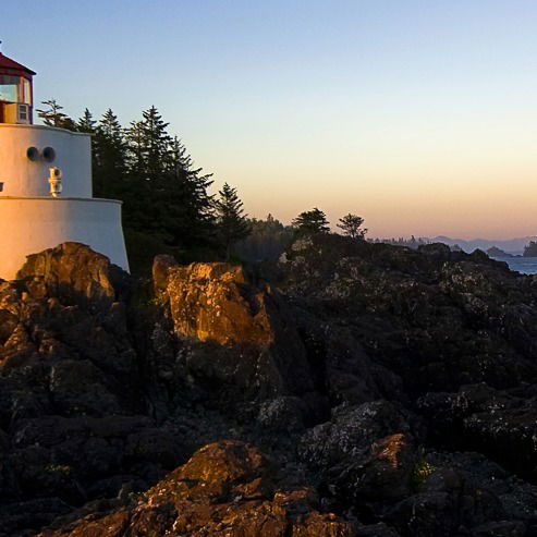 Галина Шевченко