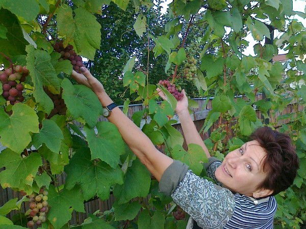 Марина Липовцева