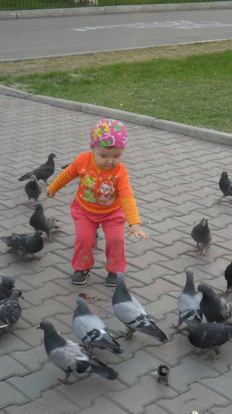 Акылай Амирбек Кызы