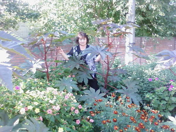 Светлана Алиева