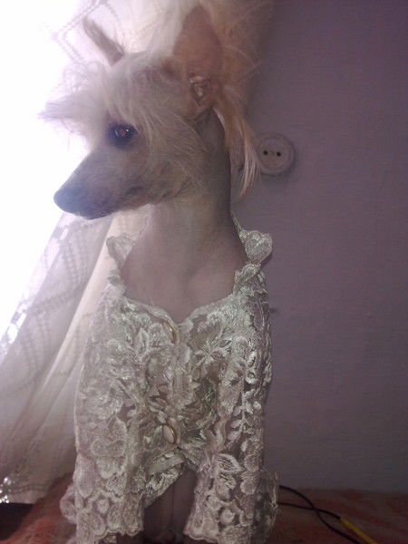 Александр Милошенко