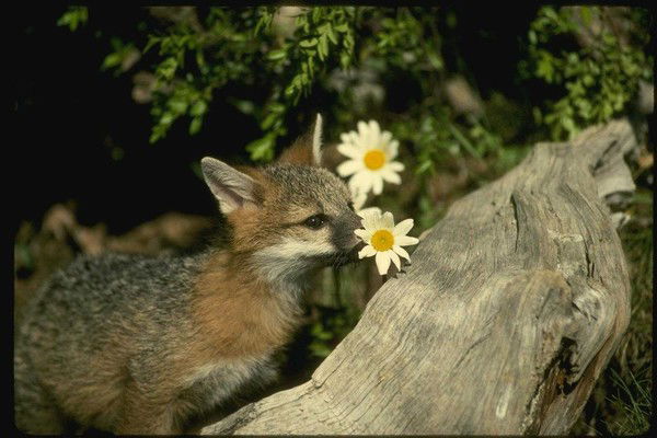 Витя Горшков