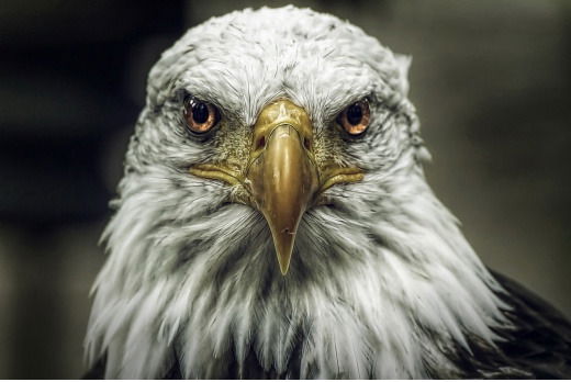 Наталья Красильникова