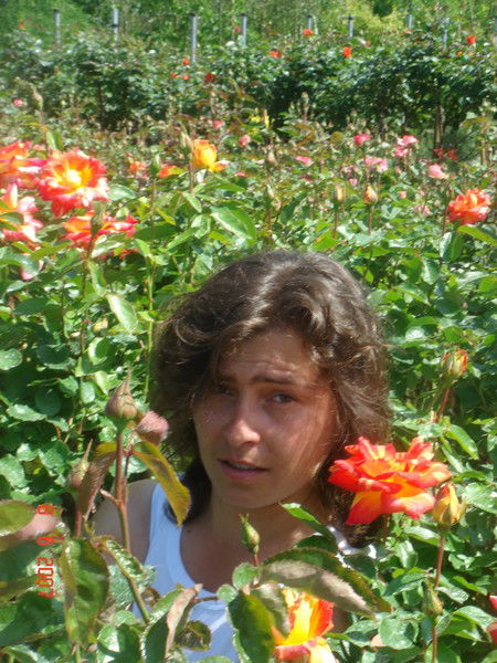 Наталья Самойленко