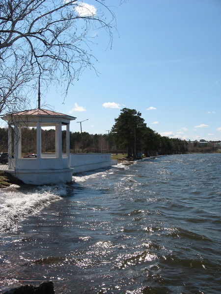 Виталий Волосов