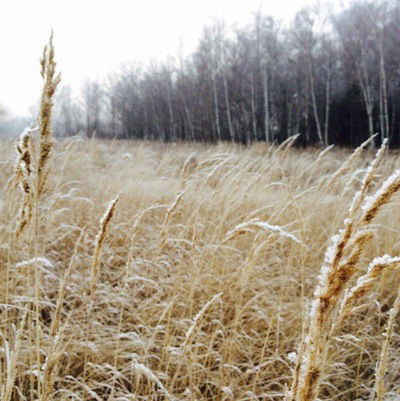 Игорь Кудрявцев