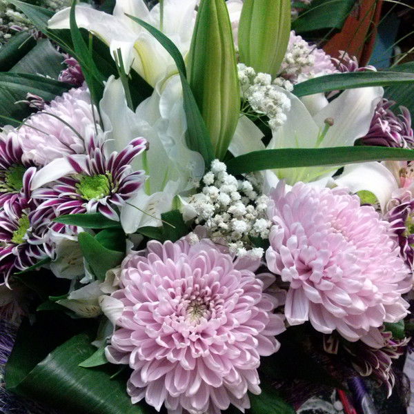 Людмила Родионова