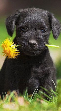 Прокопнёв Виталий