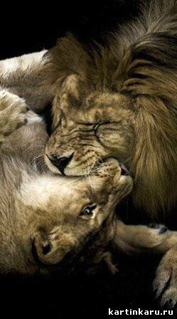 Виктор Букреев