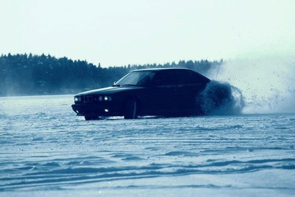 Алексей Звягинцев