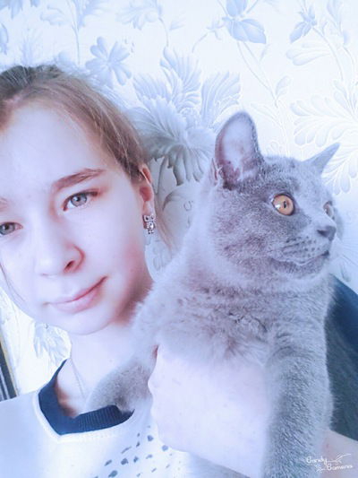 Вероника Новик