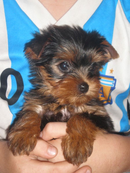 Татьяна Зайева