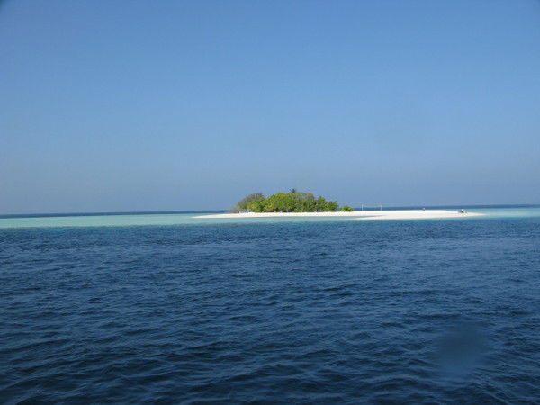 Игорь Блохин