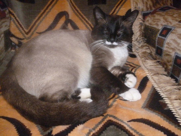 Елизавета Кузнецова