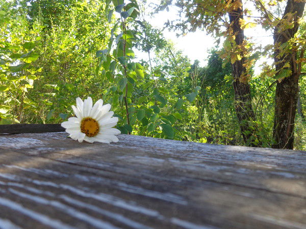 Марина Климова