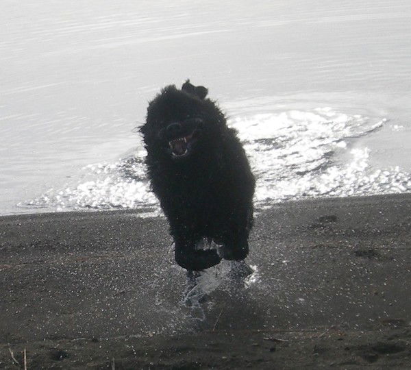 Сергей Замараев