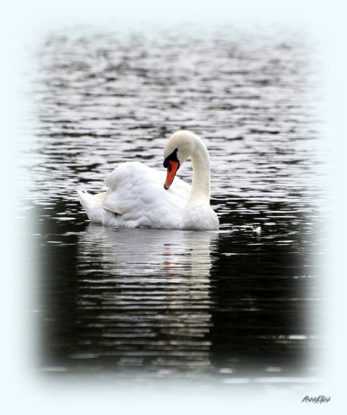 Олеся Блощицина