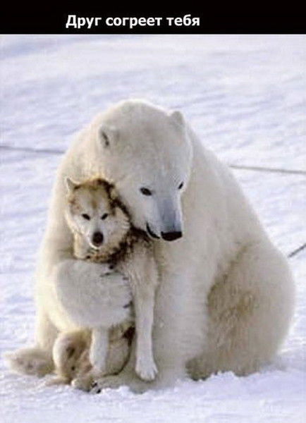 Вазген Тер-Вартанов