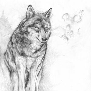 Иришка Киселёва