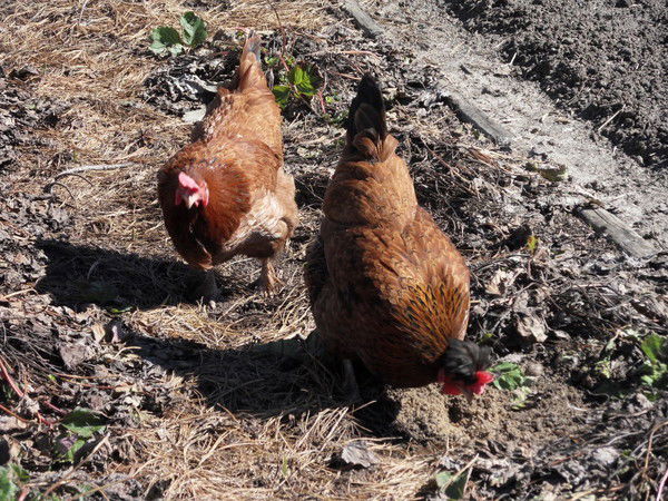 Евгений Смирнов