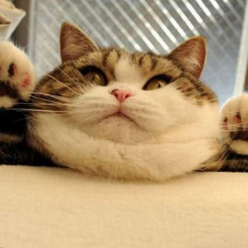 Григорий Тортиков