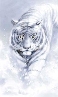 Александр Ковалев