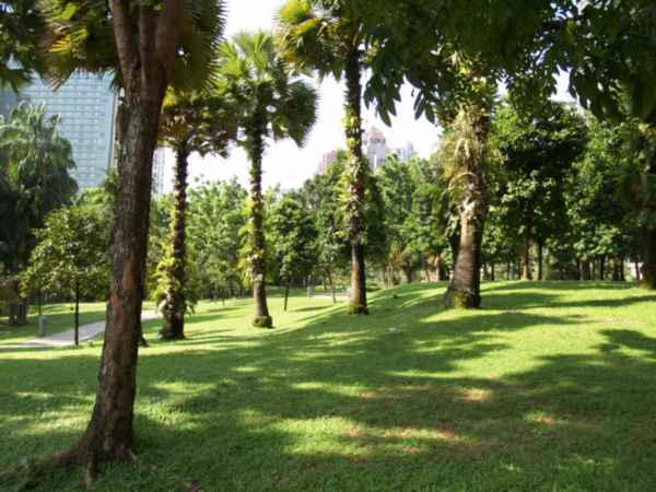 Айжамал Мухамбеталина