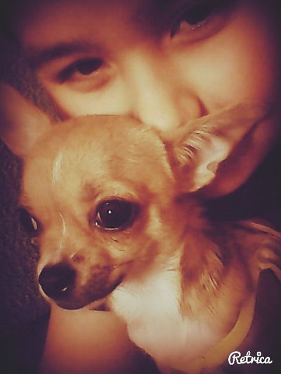 Тимофей Тян