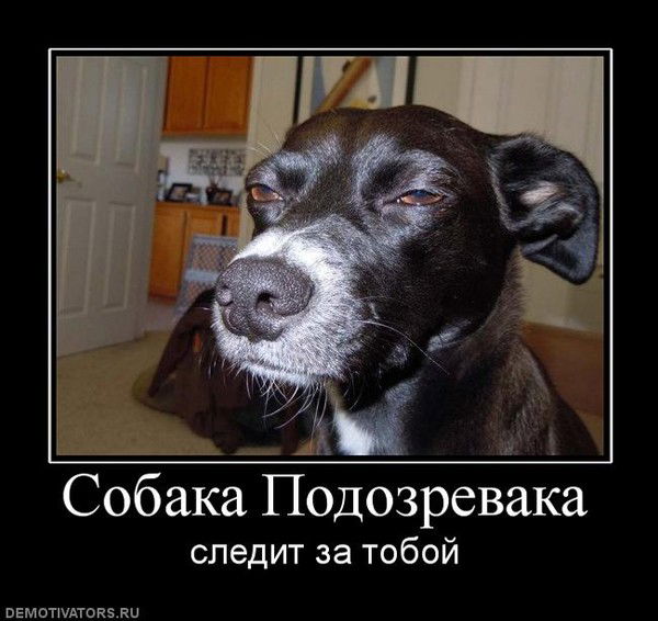 Максим Потапов