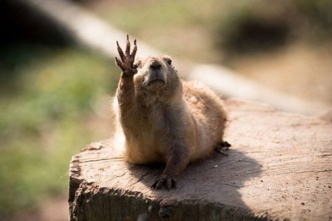 Промкомплект 508