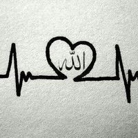 Аниса Мусаева