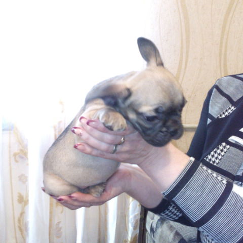 Жанна Бабкина