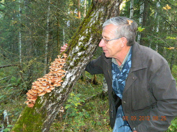 Петр Юдников