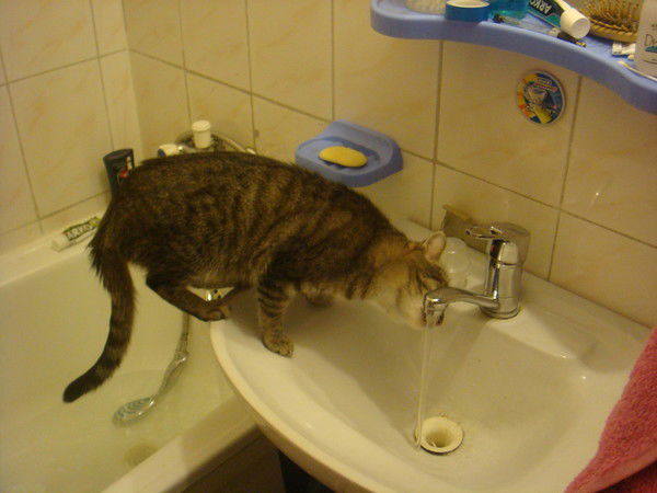 Евгений Демидчик