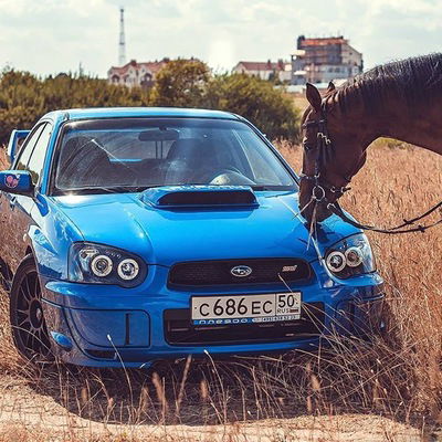 Александр Галимов