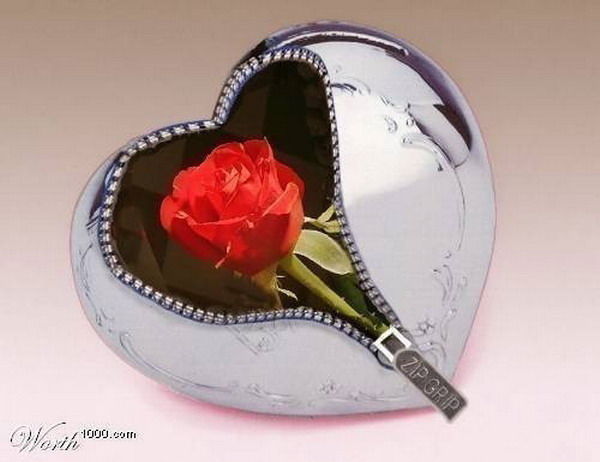 Natalia Freidenberger