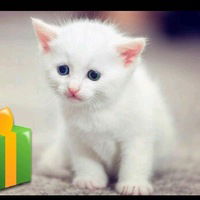 Кристина Зайвая