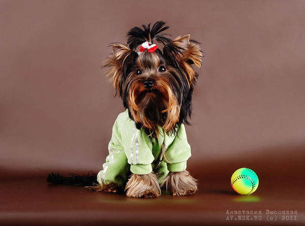 Салон Красоты