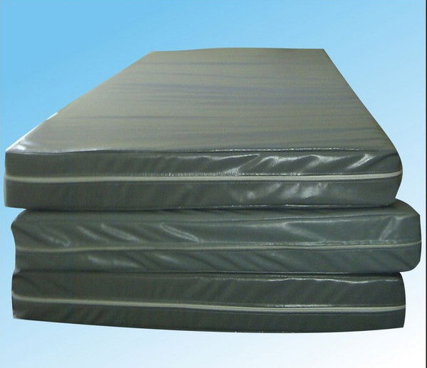 Актоты Анаркулкызы Ип Шади