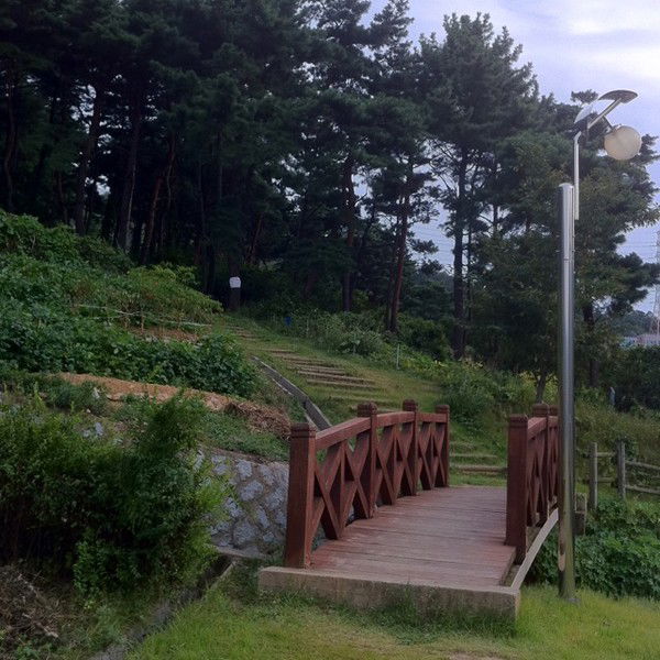 Наталья Цхай (Ким)