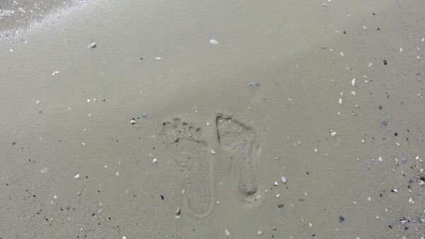 Игорь Ногай