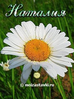 Наталия Мироненко