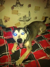 Ирина Фризен