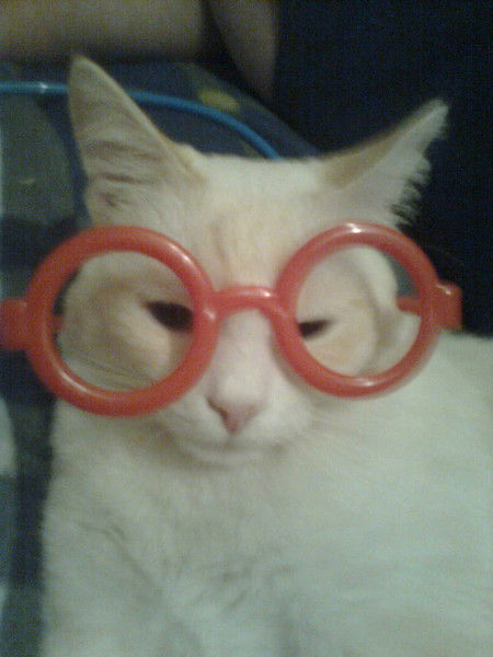 Вика Лихаткова