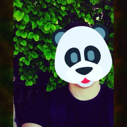 Сардор Мухамедов