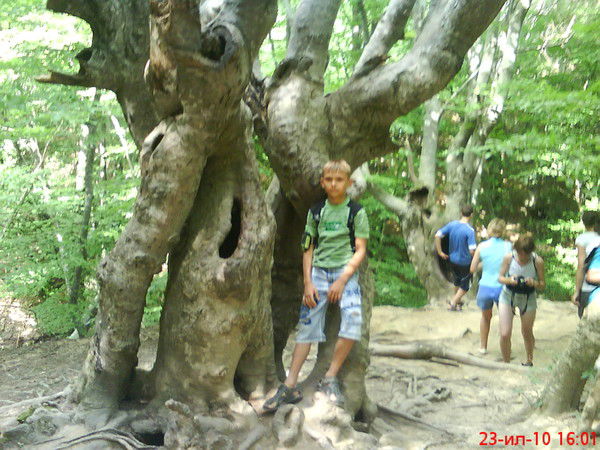 Тарас Власюк