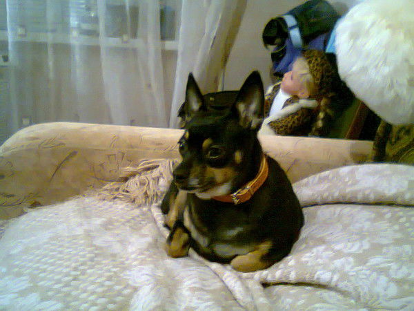 Ирина Бектемирова