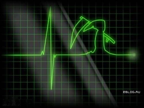 Миша Разумов