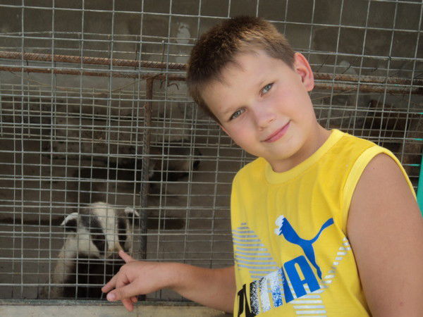 Ксения Кострикина